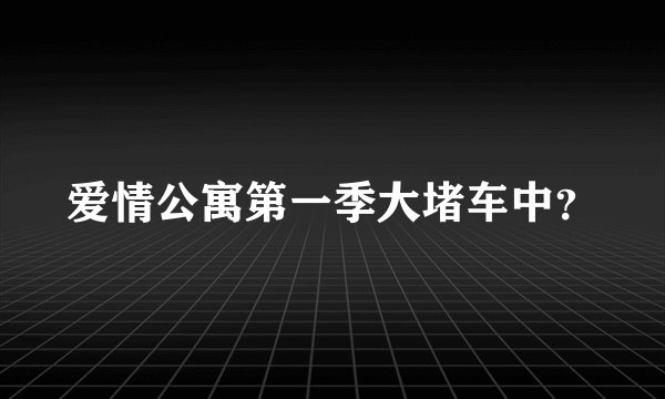 爱情公寓第一季大堵车中？
