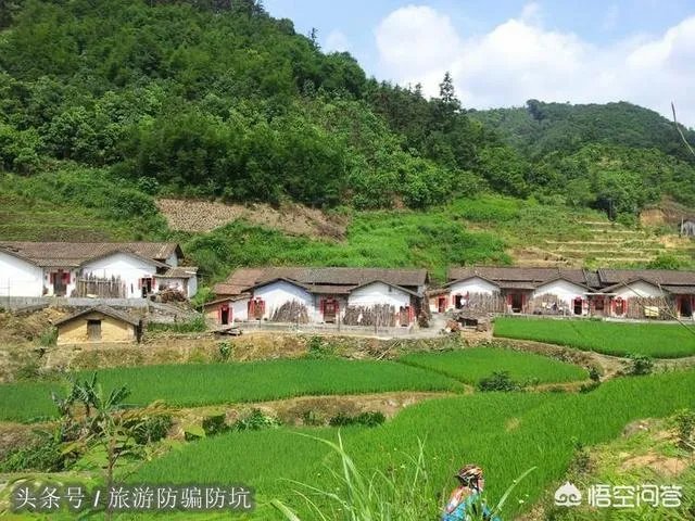 四会有什么旅游景点?