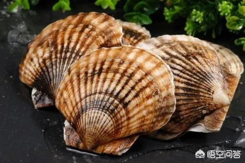 怎么挑选最鲜的海鲜?