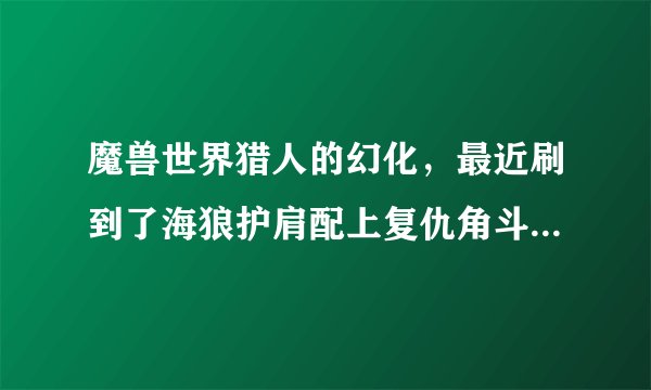 魔兽世界猎人的幻化，最近刷到了海狼护肩配上复仇角斗士的长弓