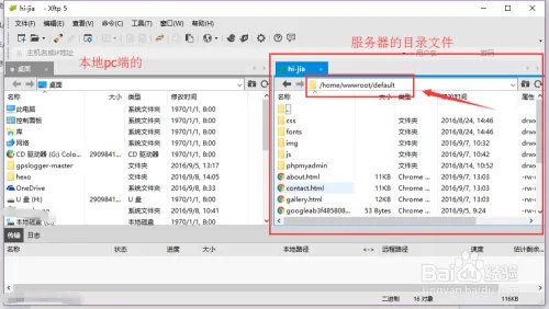 网站建设教程