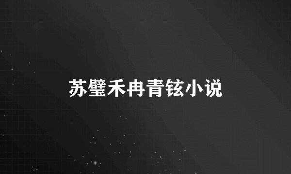 苏璧禾冉青铉小说