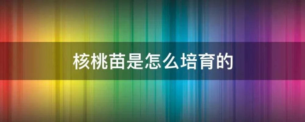 核桃苗是怎么培育的