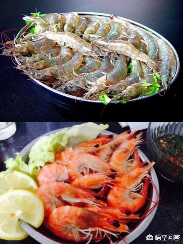 怎么挑选最鲜的海鲜?