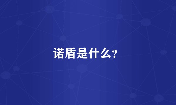 诺盾是什么？