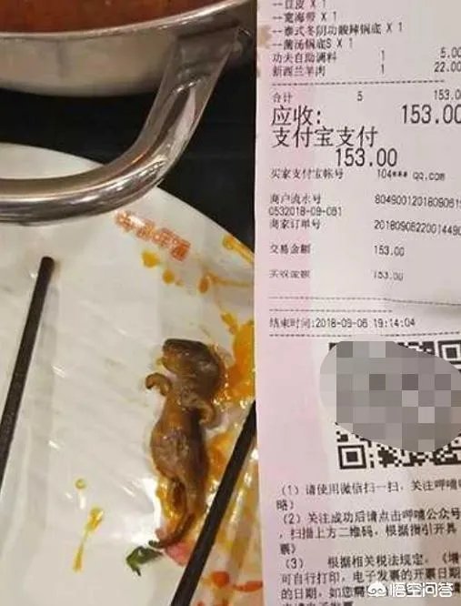 孕妇吃火锅捞出老鼠,店家疑称“给2万把孩子打了”,对此你怎么看?
