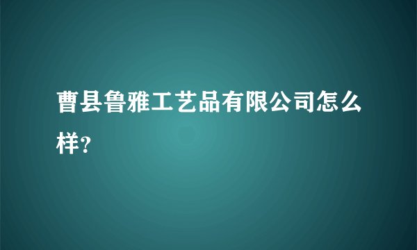 曹县鲁雅工艺品有限公司怎么样？