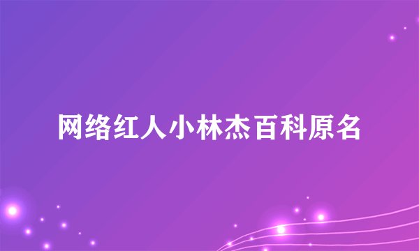 网络红人小林杰百科原名