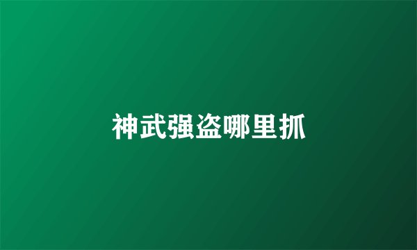 神武强盗哪里抓