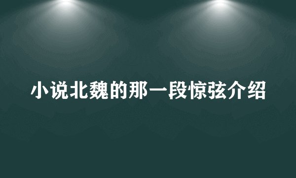 小说北魏的那一段惊弦介绍