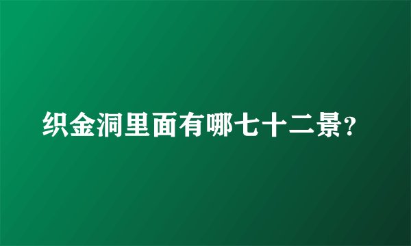 织金洞里面有哪七十二景？
