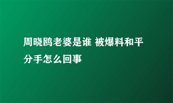 周晓鸥老婆是谁 被爆料和平分手怎么回事