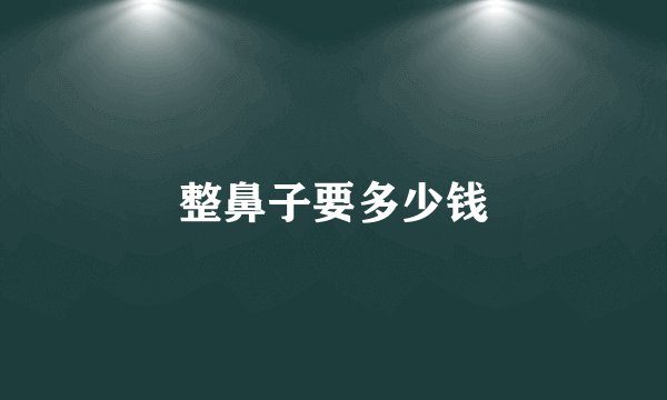 整鼻子要多少钱