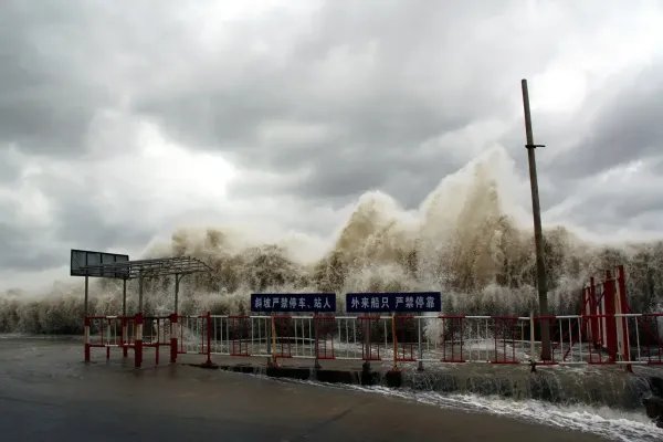 第20号台风纳沙正逐步移入南海,它是如何形成的?如何移动的?