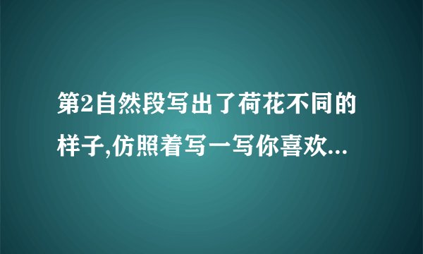 第2自然段写出了荷花不同的样子,仿照着写一写你喜欢的植物。