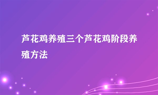 芦花鸡养殖三个芦花鸡阶段养殖方法