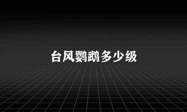 台风鹦鹉多少级