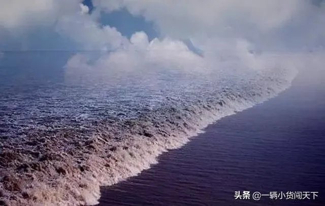 请问2019年钱塘观潮最佳时间都是什么时候?