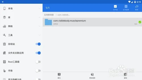 骨骼肌解剖visiblebody muscle中文版安装及设置
