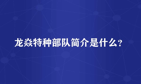 龙焱特种部队简介是什么?