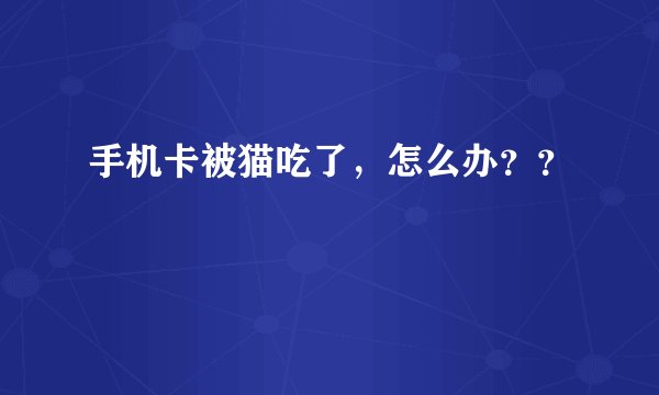 手机卡被猫吃了，怎么办？？