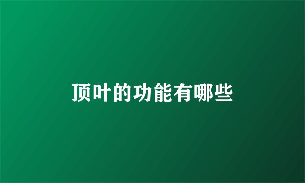 顶叶的功能有哪些