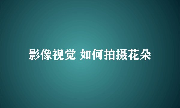 影像视觉 如何拍摄花朵