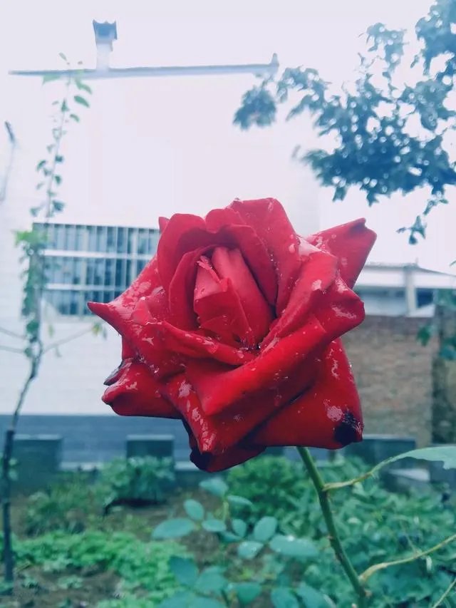 溺水身亡,打捞队挟尸要价,你怎么看?