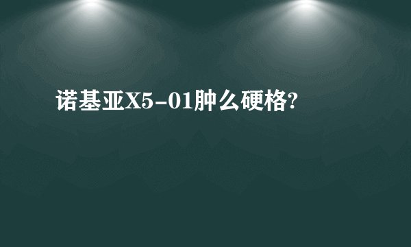 诺基亚X5-01肿么硬格?