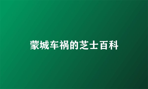 蒙城车祸的芝士百科