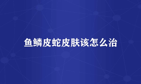 鱼鳞皮蛇皮肤该怎么治