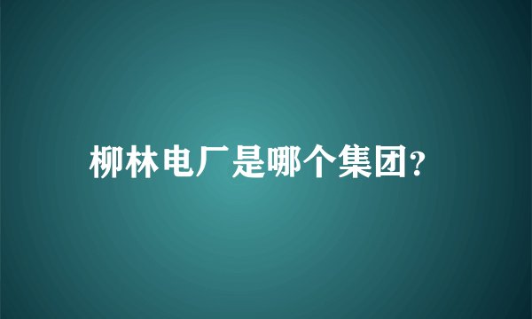 柳林电厂是哪个集团？