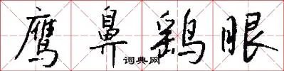 鹰鼻鹞眼