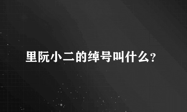 里阮小二的绰号叫什么？