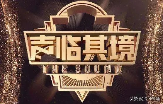 如何看待刘琳获得《声临其境》冠军?