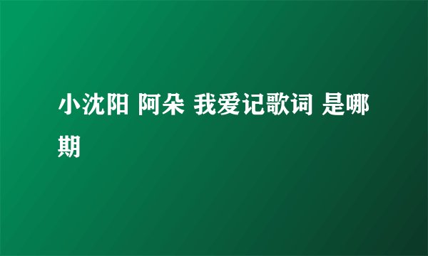 小沈阳 阿朵 我爱记歌词 是哪期