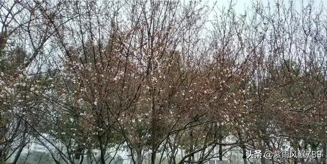 在这个三八妇女节,你对心中的女神最想说什么话?