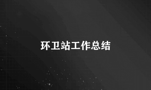 环卫站工作总结