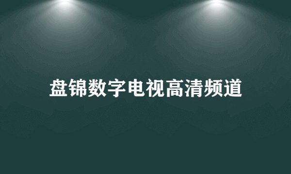 盘锦数字电视高清频道