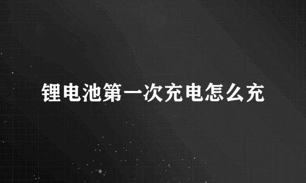 锂电池第一次充电怎么充