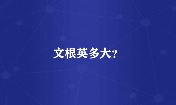 文根英多大？