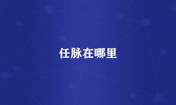 任脉在哪里