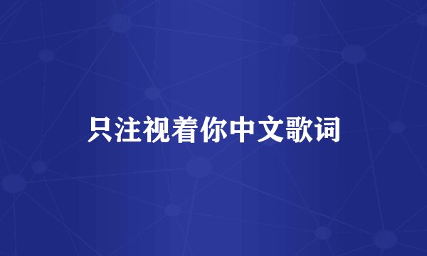 只注视着你中文歌词