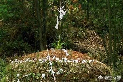 清明上坟的最佳时间是几点?有哪些禁忌和要求?