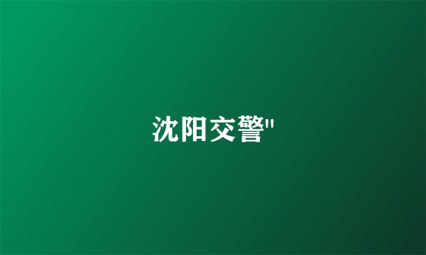 沈阳交警