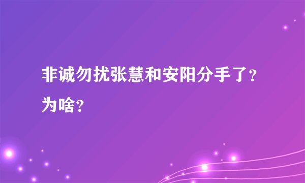 非诚勿扰张慧和安阳分手了?为啥?