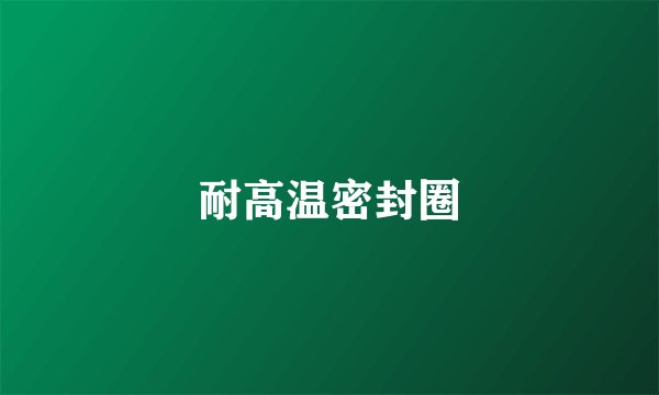耐高温密封圈