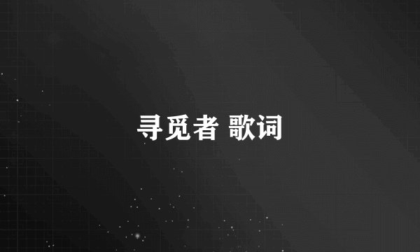寻觅者 歌词