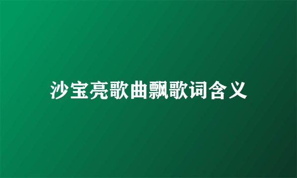 沙宝亮歌曲飘歌词含义