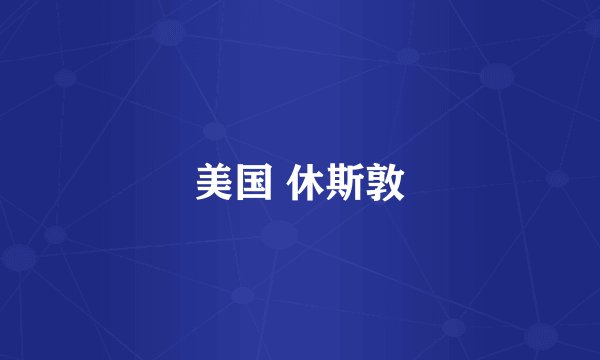 美国 休斯敦